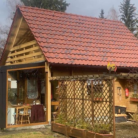 Holzhaus Mit Direktem Wasserzugang In Berlin-Koepenick Экстерьер фото